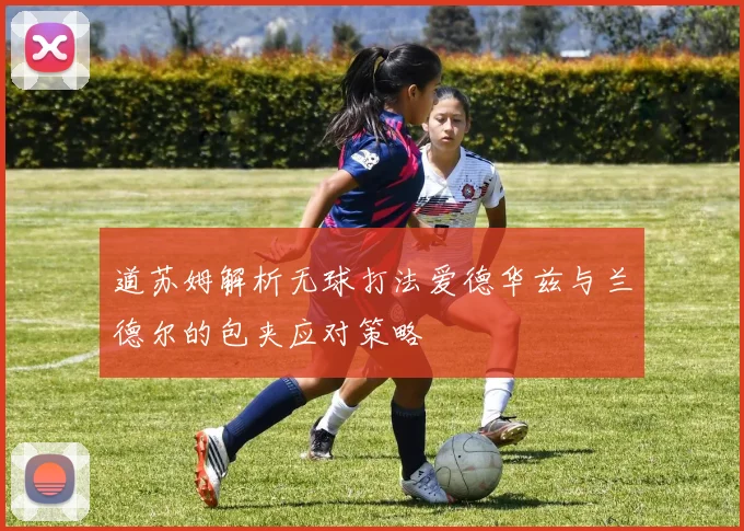 道苏姆解析无球打法爱德华兹与兰德尔的包夹应对策略