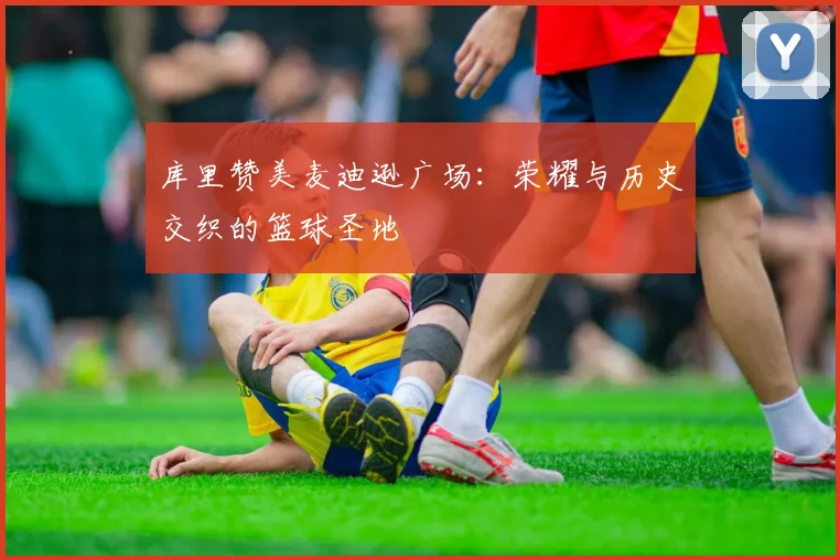 库里赞美麦迪逊广场：荣耀与历史交织的篮球圣地