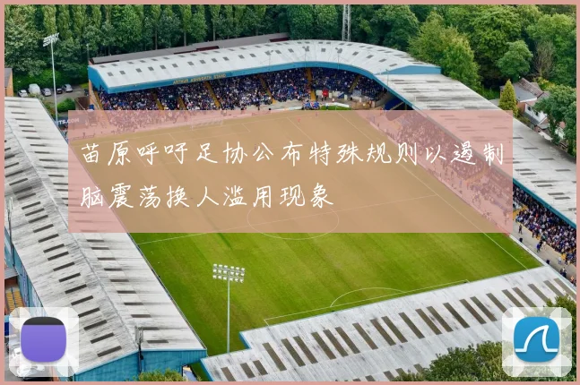苗原呼吁足协公布特殊规则以遏制脑震荡换人滥用现象